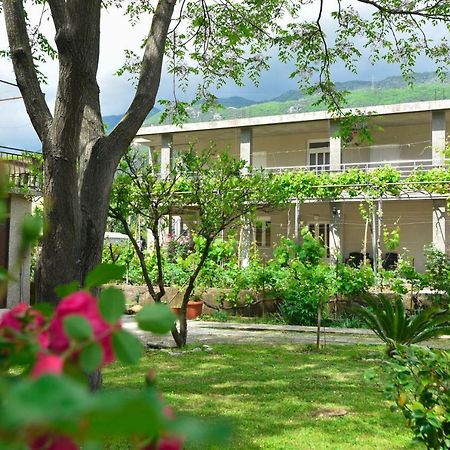 Apartmani Mihovic - Jaz Budva Dış mekan fotoğraf